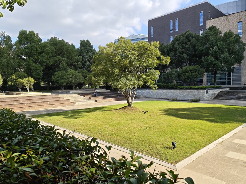 校园风景