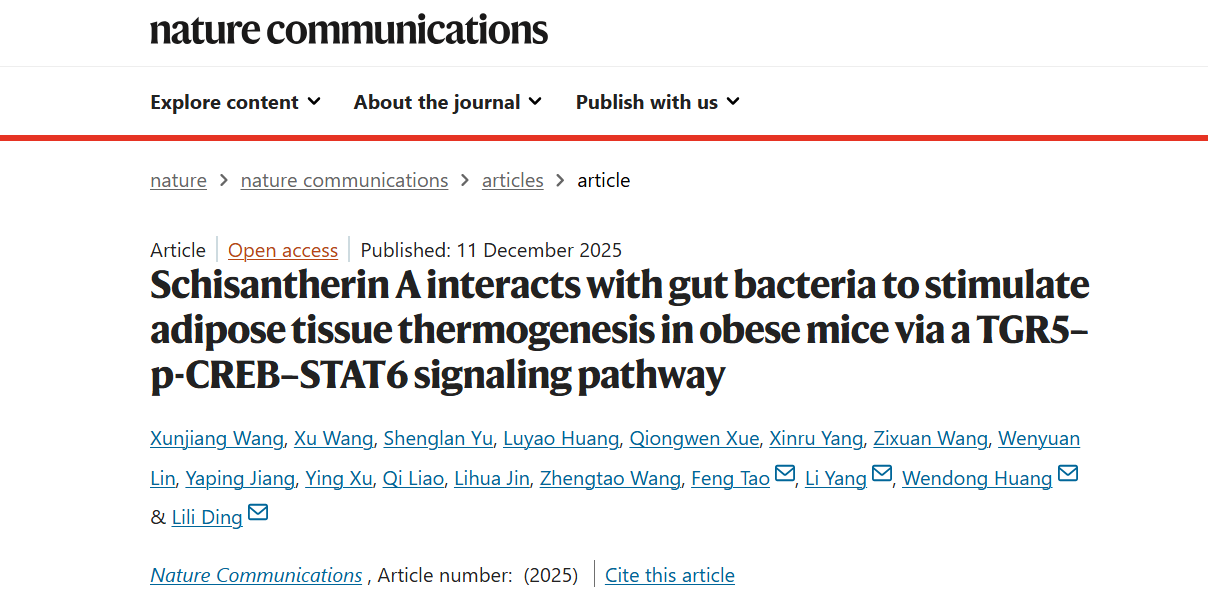 beat365丁丽丽研究员、杨莉研究员带领双方团队破解中药来源天然产物促进脂肪产热减重新机制